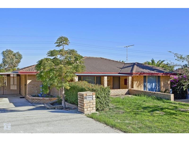 11 Salvia Court, Yangebup WA 6164