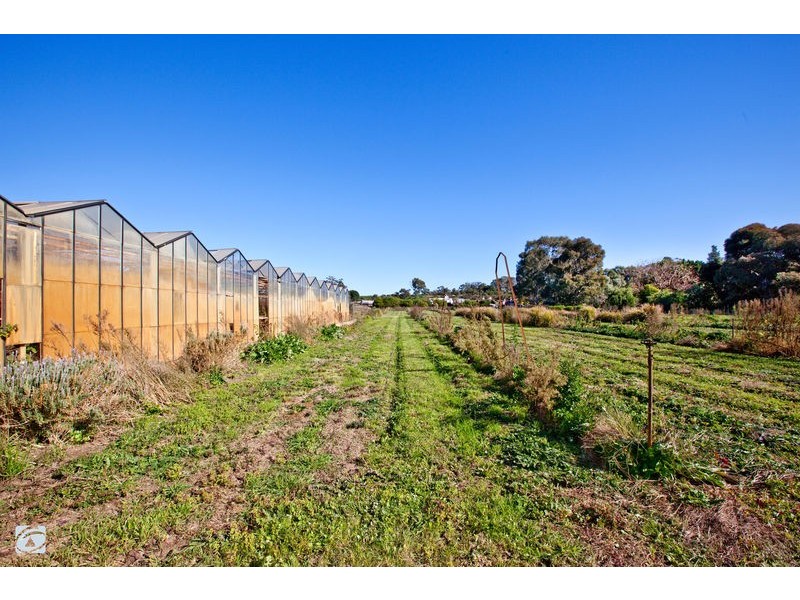 339 Mandogalup Road, Hope Valley WA 6165
