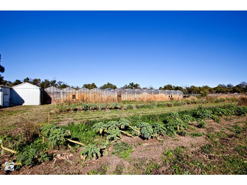 339 Mandogalup Road, Hope Valley WA 6165