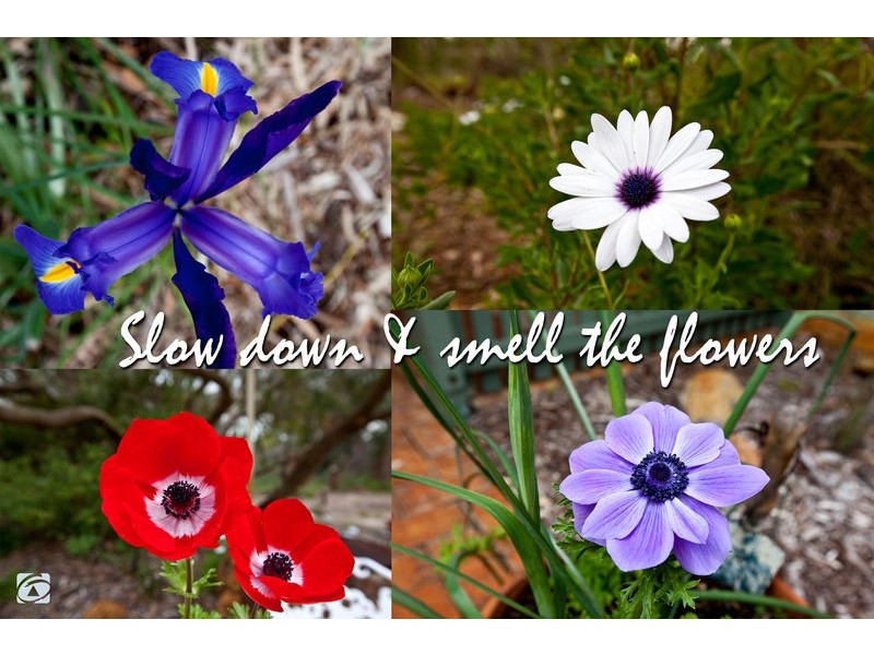 31 Wilga Court, Banjup WA 6164