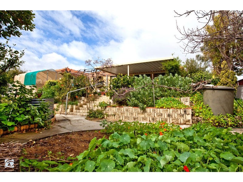 6 Enright Circuit, Beeliar WA 6164