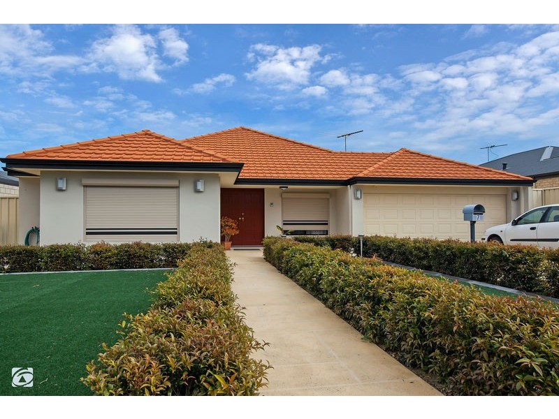 7 Storey Place, Yangebup WA 6164