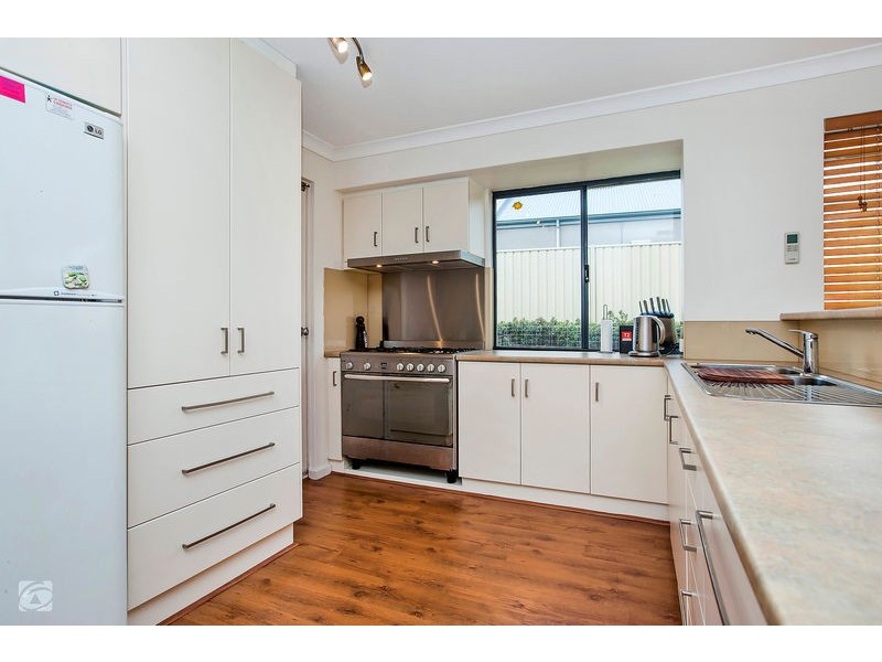 31 Catspaw Avenue, Beeliar WA 6164