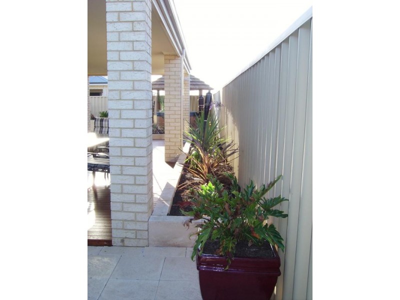 14 Vetiver Link, Atwell WA 6164