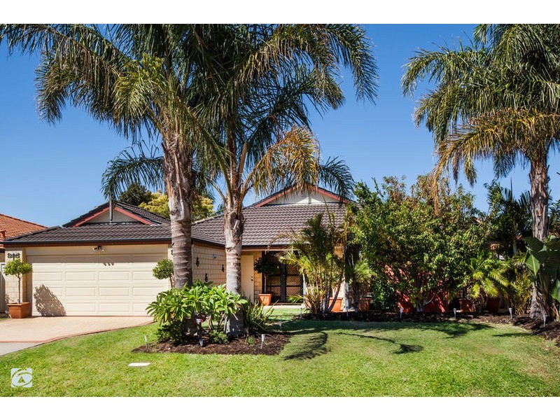 19 Avon Crescent, Atwell WA 6164