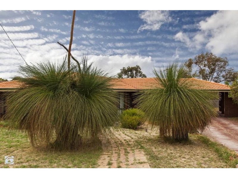 43 Sandpiper Loop, Yangebup WA 6164