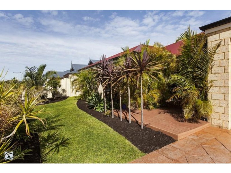 19 Swallowtail Avenue, Success WA 6164