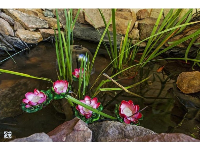 19 Swallowtail Avenue, Success WA 6164