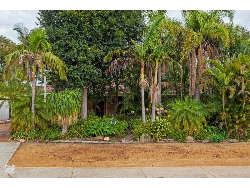 4 Milgun Drive, Yangebup WA 6164