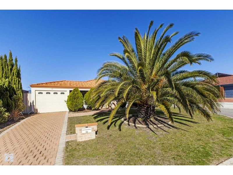 19 Nasturtium Gardens, Beeliar WA 6164