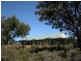 71 Scovell Crescent, Anketell WA 6167