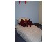 1 Argyle Place, Yangebup WA 6164
