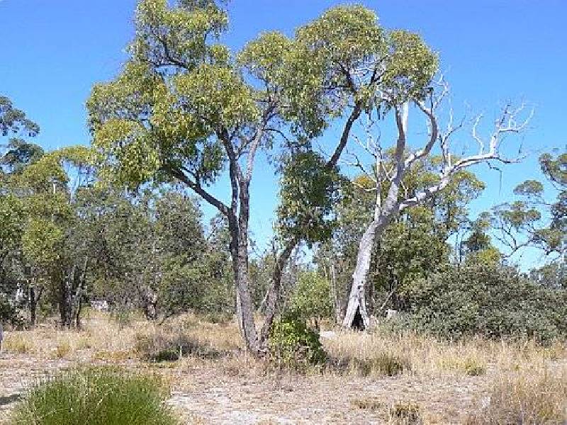 Lot 512 De Haer Road, Wandi WA 6167