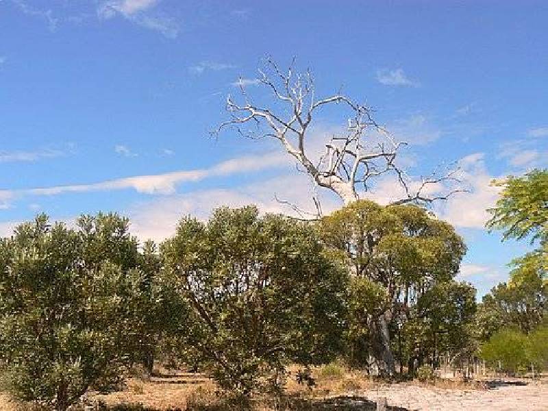 Lot 512 De Haer Road, Wandi WA 6167