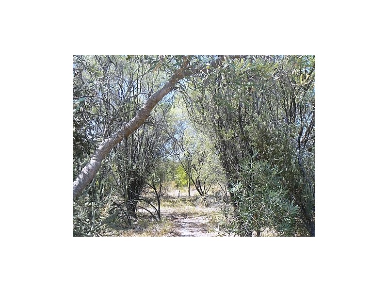 33 Holmes Road, Oakford WA 6121