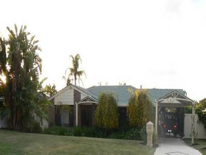 17 Mudlark Way, Yangebup WA 6164