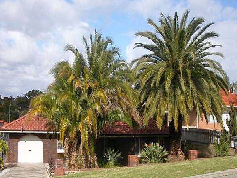 12 Glendower Way, Spearwood WA 6163