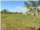 12 Birdwing Dale, Beeliar WA 6164
