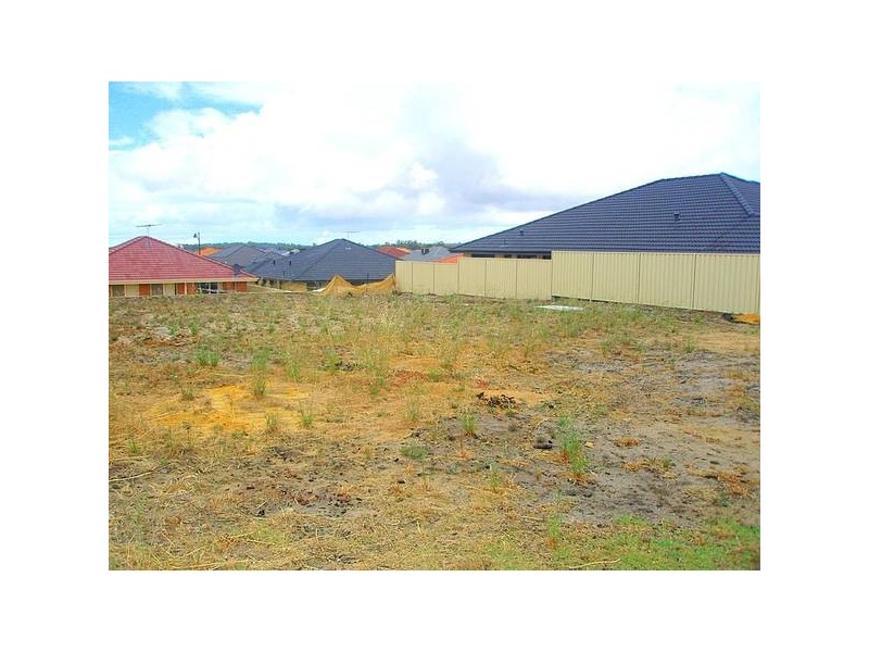 44 Barfield Road, Hammond Park WA 6164