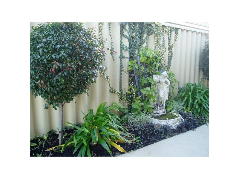 Beedelup Loop, Bibra Lake WA 6163