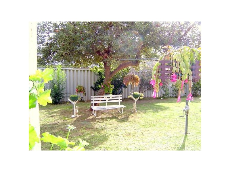 Allamanda Drive, South Lake WA 6164