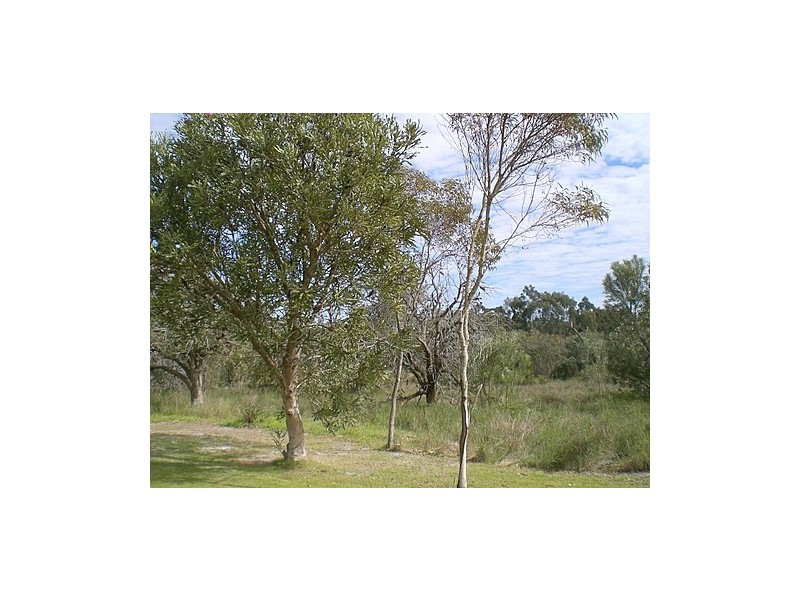 35 Brooks Place, Wandi WA 6167