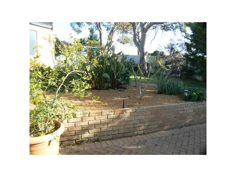 19 Larkspur Cross, Yangebup WA 6164