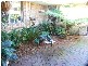 19 Larkspur Cross, Yangebup WA 6164