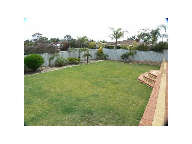 9 Torenia Way, Yangebup WA 6164