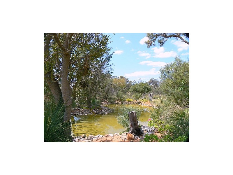 238 Wandi Drive, Wandi WA 6167