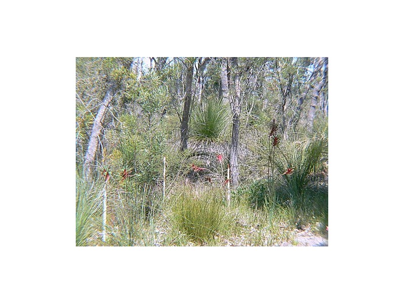 238 Wandi Drive, Wandi WA 6167