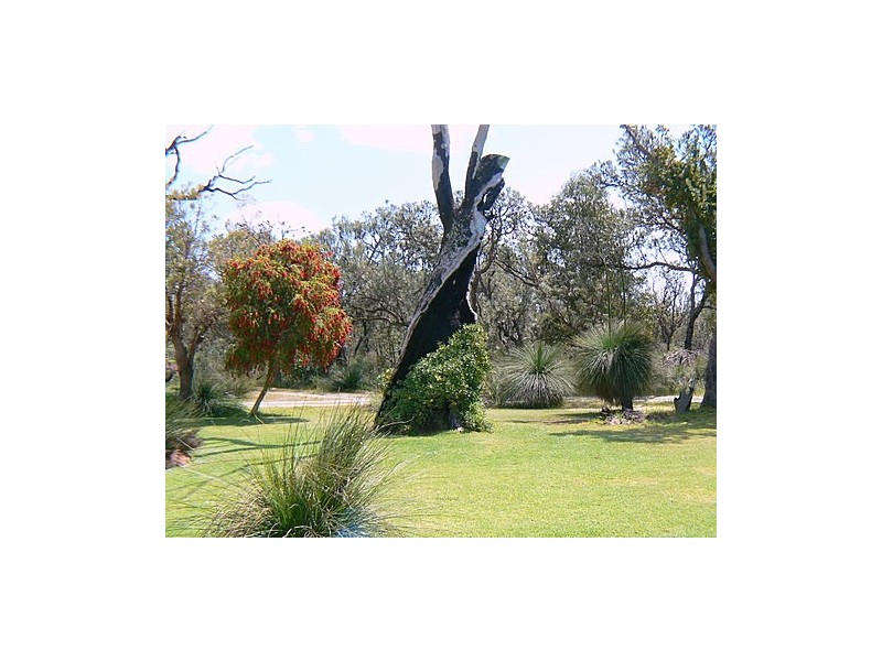 238 Wandi Drive, Wandi WA 6167