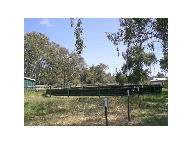 48 Craghill Way, Oakford WA 6121