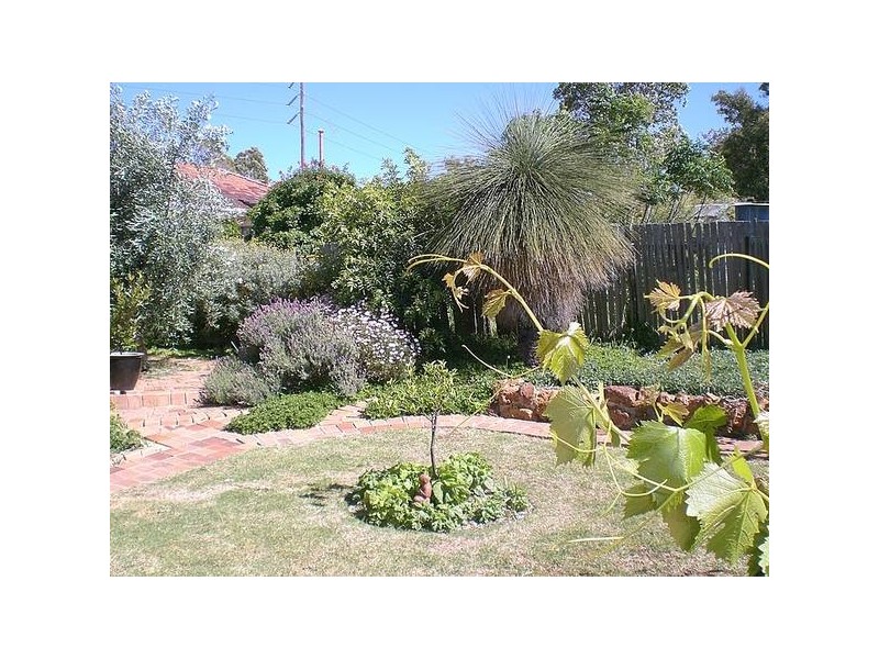 10 Belarius Street, Coolbellup WA 6163