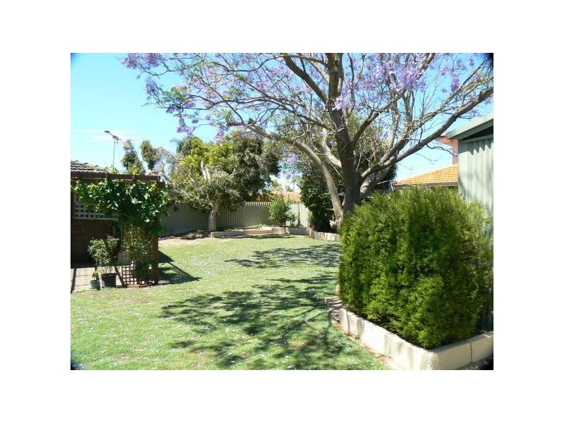 31 Pausin Cres,, Bibra Lake WA 6163