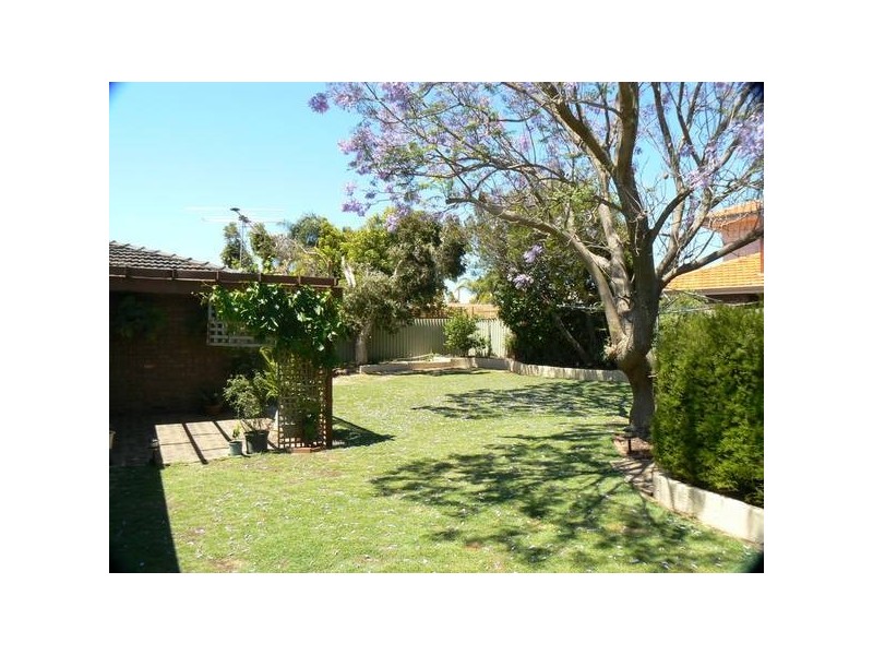 31 Pausin Cres,, Bibra Lake WA 6163