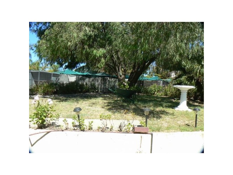 34 Plover Drive, Yangebup WA 6164