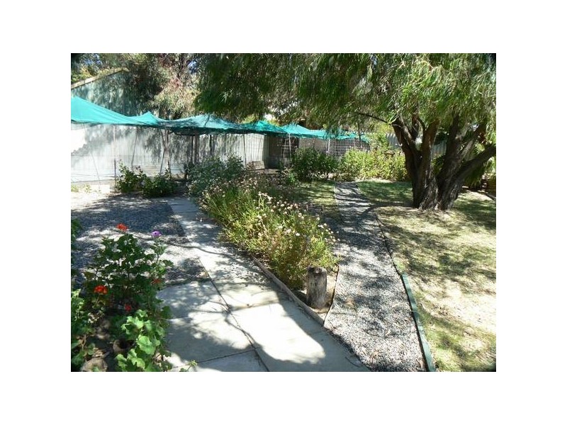 34 Plover Drive, Yangebup WA 6164