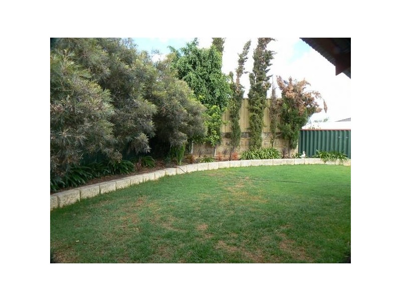 11 Centaury Close, Beeliar WA 6164