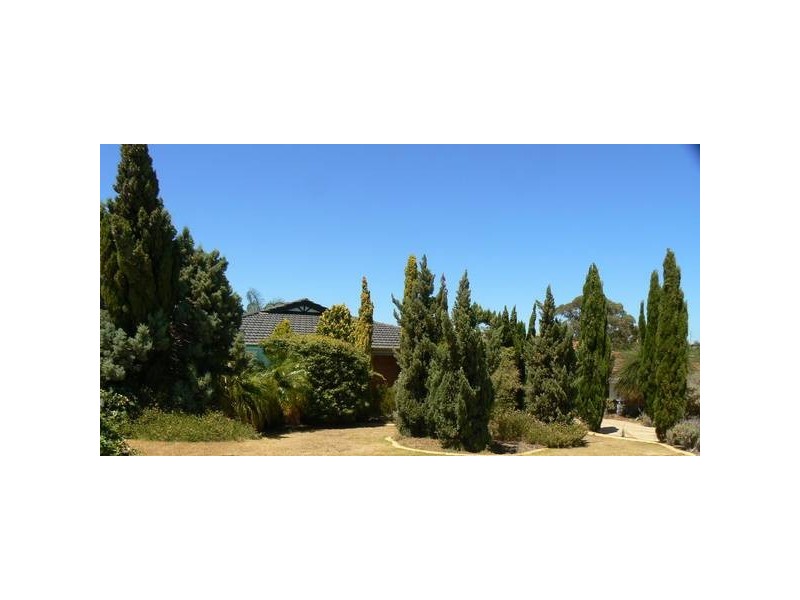 6 Dillon Rise, Yangebup WA 6164