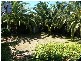 6 Dillon Rise, Yangebup WA 6164