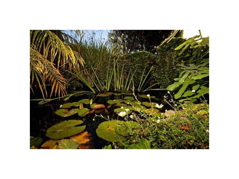 14 Karri Court, Yangebup WA 6164