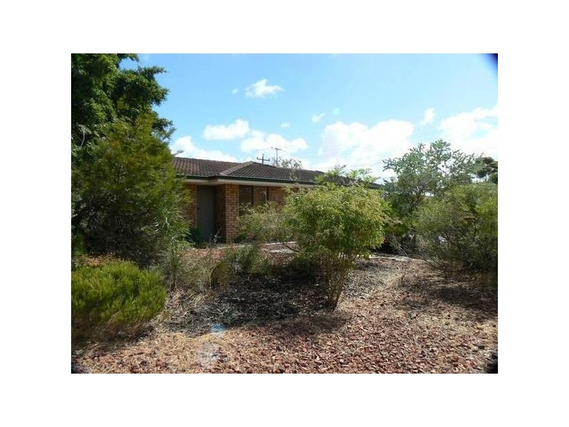 53 Williambury Drive, Yangebup WA 6164