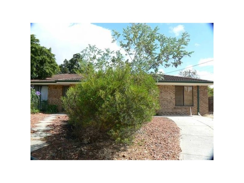 53 Williambury Drive, Yangebup WA 6164