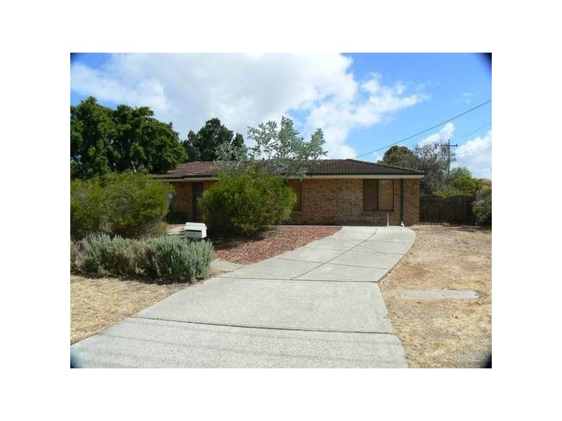 53 Williambury Drive, Yangebup WA 6164