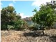 53 Williambury Drive, Yangebup WA 6164