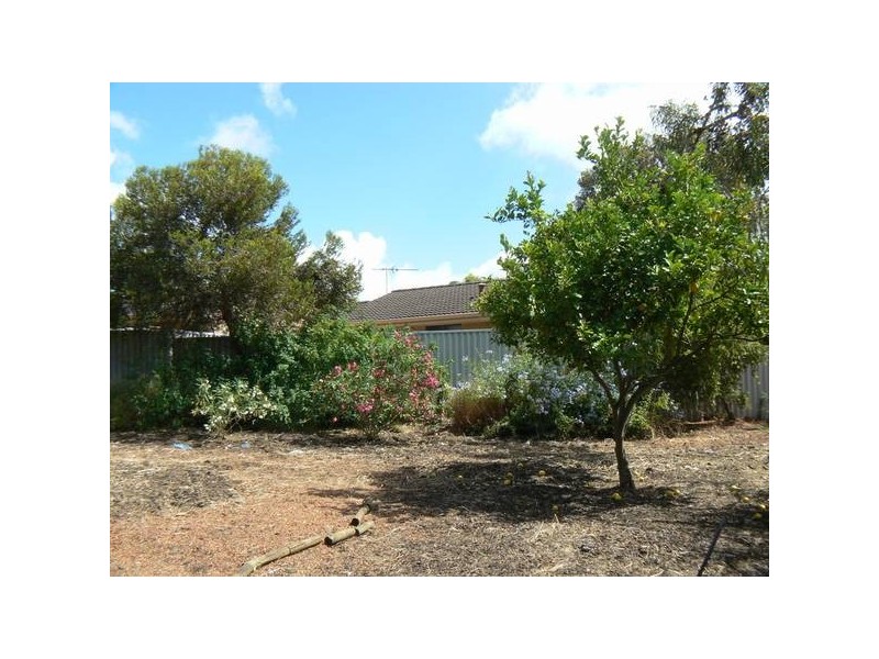 53 Williambury Drive, Yangebup WA 6164