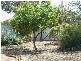 53 Williambury Drive, Yangebup WA 6164