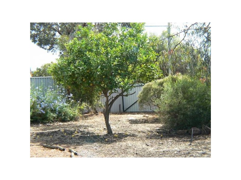 53 Williambury Drive, Yangebup WA 6164