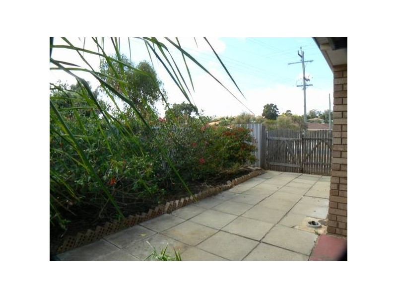53 Williambury Drive, Yangebup WA 6164